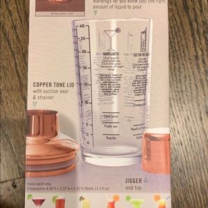 Cocktail Shaker with 6 recipes